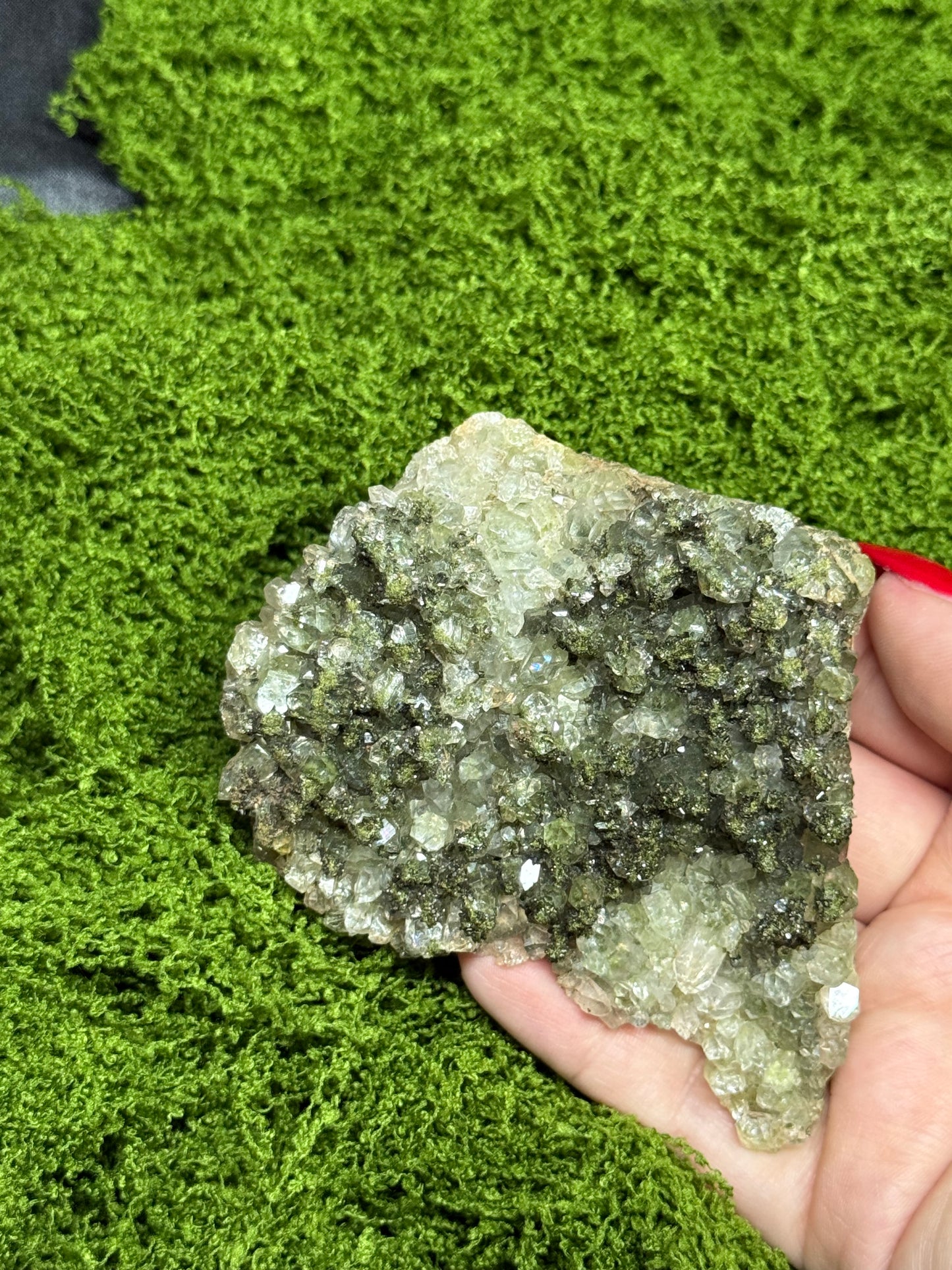 Fairy forest Epidote with Quartz