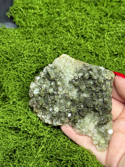 Fairy forest Epidote with Quartz