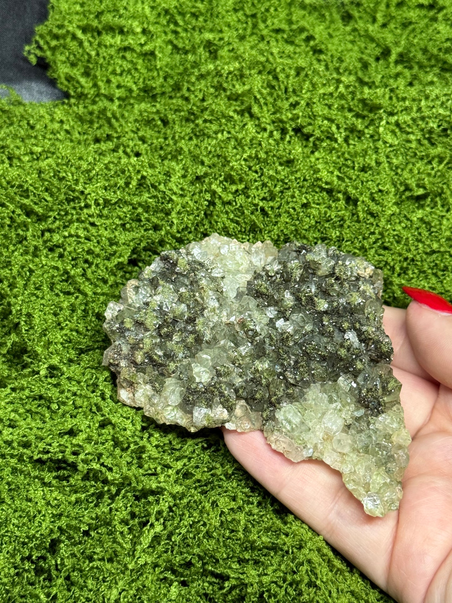 Fairy forest Epidote with Quartz