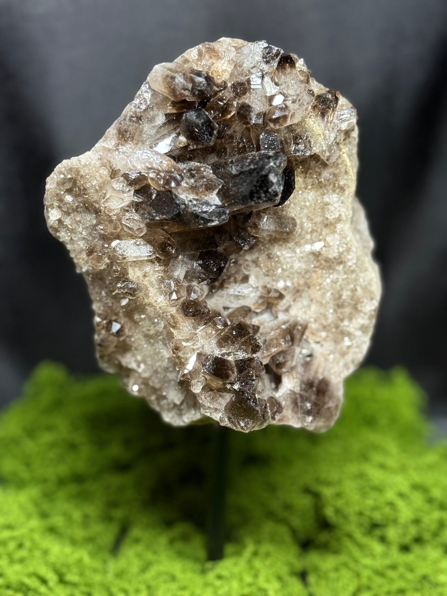 Smokey Quartz Crystal Cluster w/ stand #2