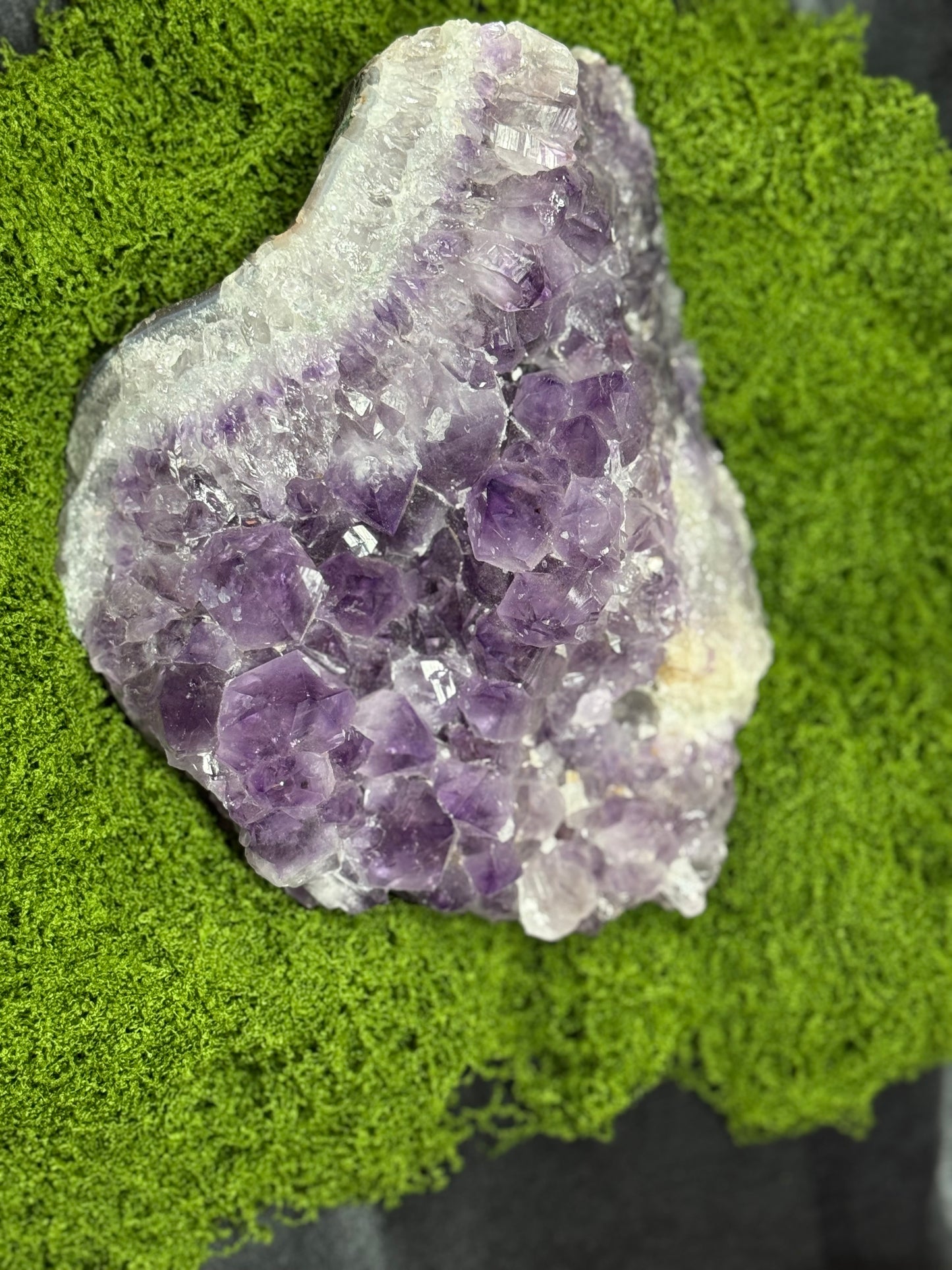 5 Lb Amethyst Cluster