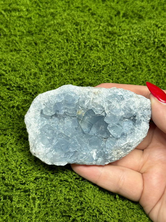 Celestite Geode Cluster - A