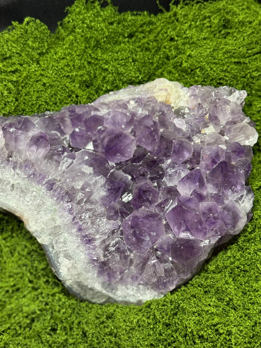 5 Lb Amethyst Cluster